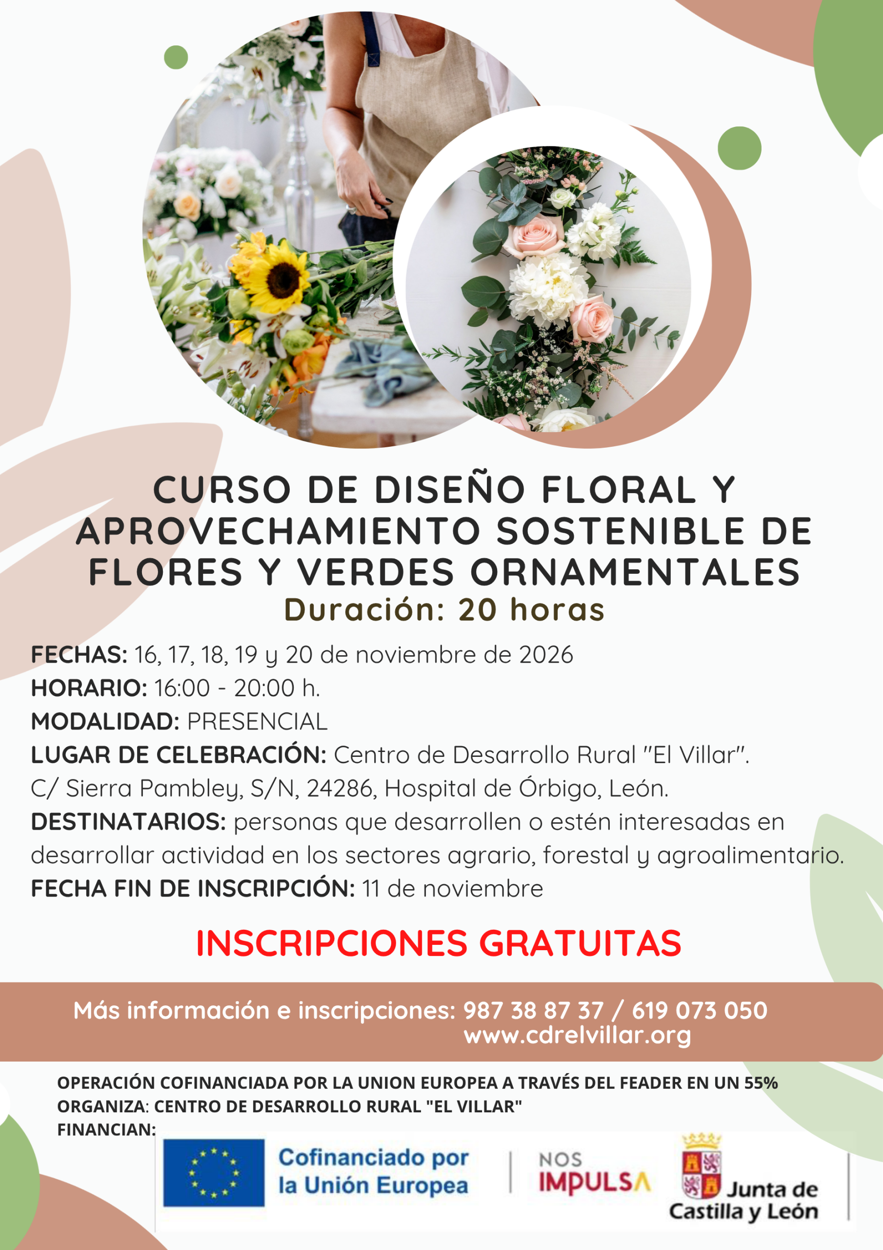 diseño floral
